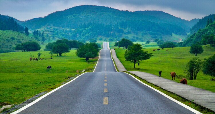 Fairy Mountain Forest Park