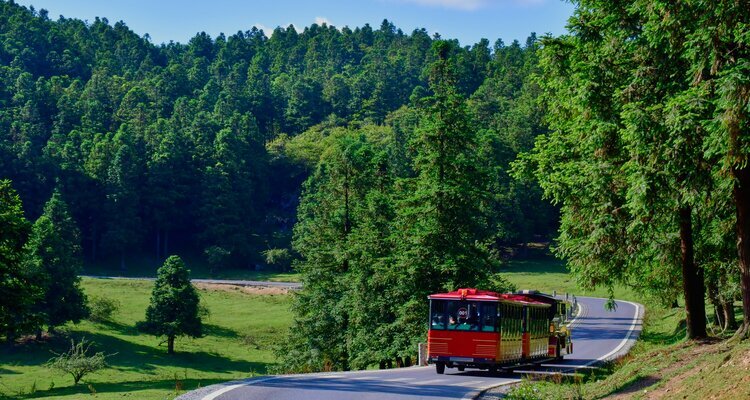 Fairy Mountain Forest Park