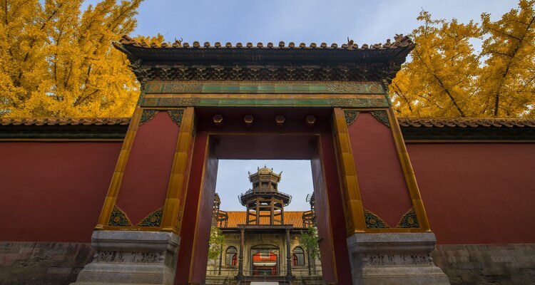 The Forbidden City in Autumn