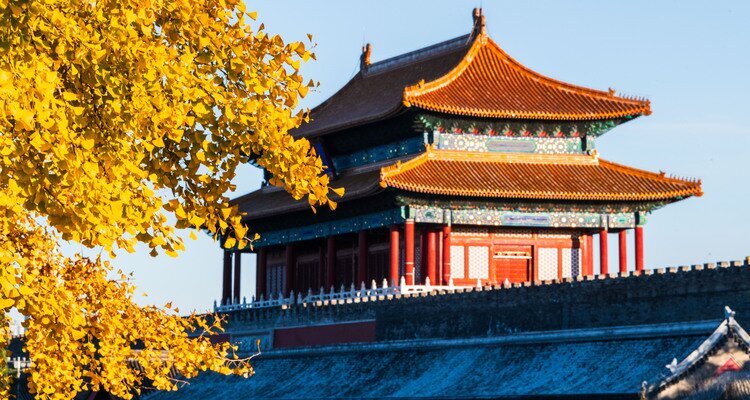 The Forbidden City in Autumn