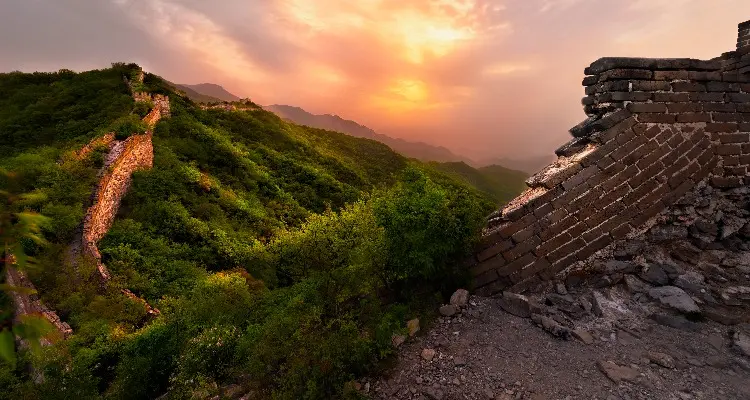 wild Great Wall