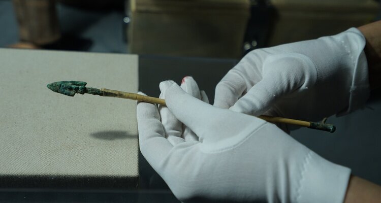 Xi'an Lintong Museum Qin Dynasty Relics Handling