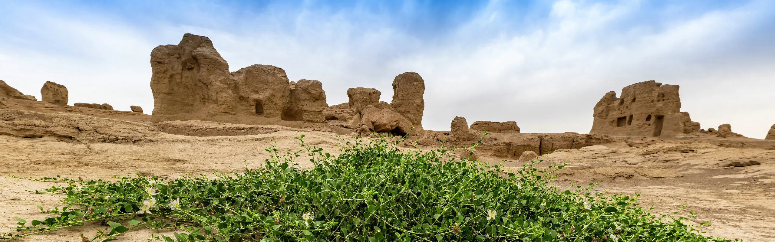 12-Day China Silk Road Tour from Xi’an to Kashgar
