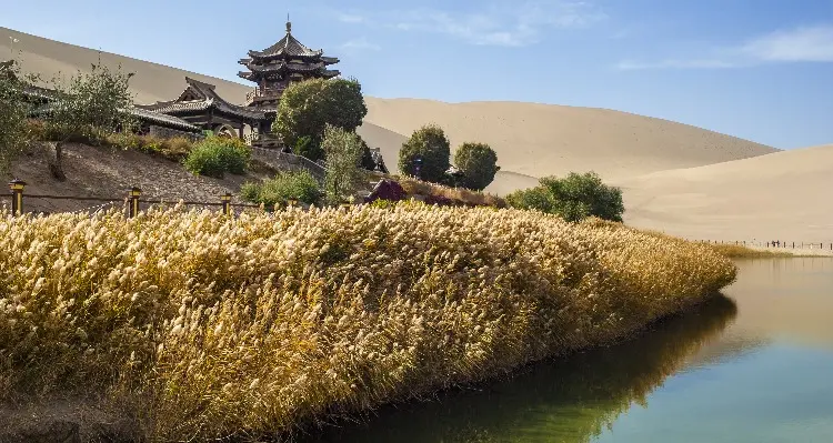 a building in an oasis in the desert