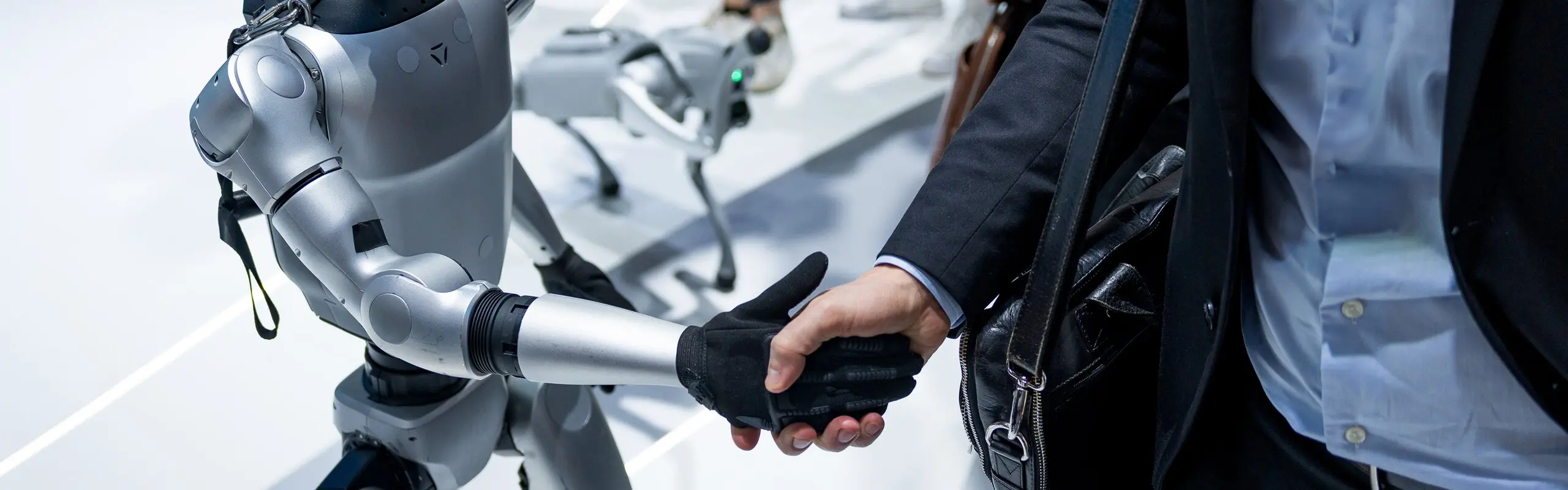 5-Day Shanghai and Hangzhou High Tech Tour