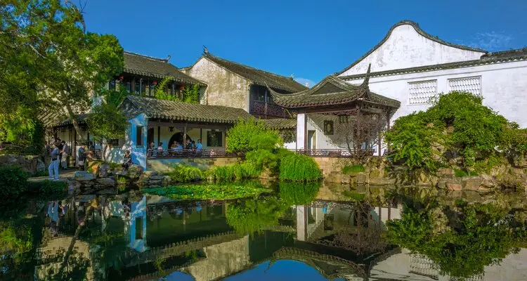 Master of the Nets Garden