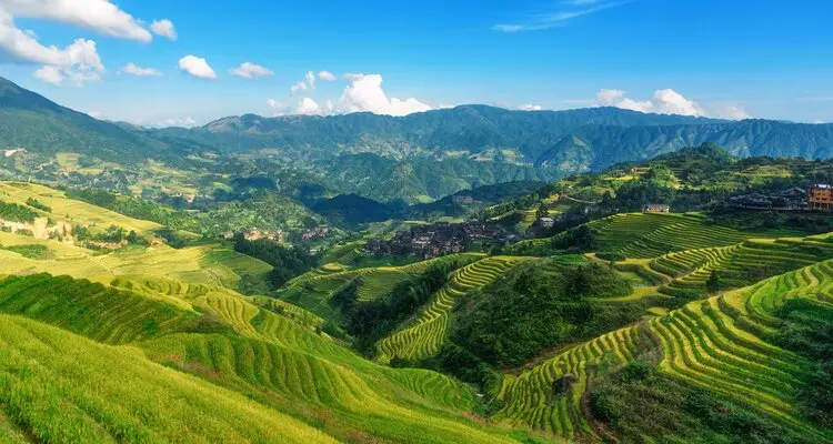 Longji Rice Terraces