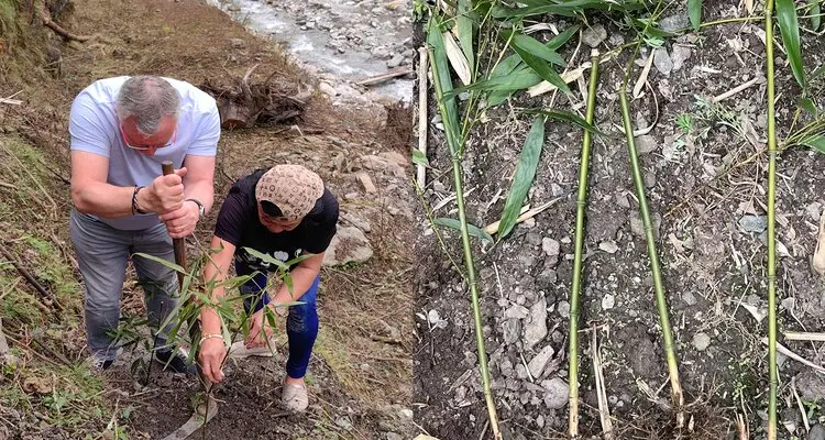 Farmhouse Visit and Bamboo Planting