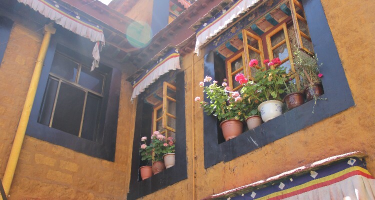 windows with flowers of a nunnery