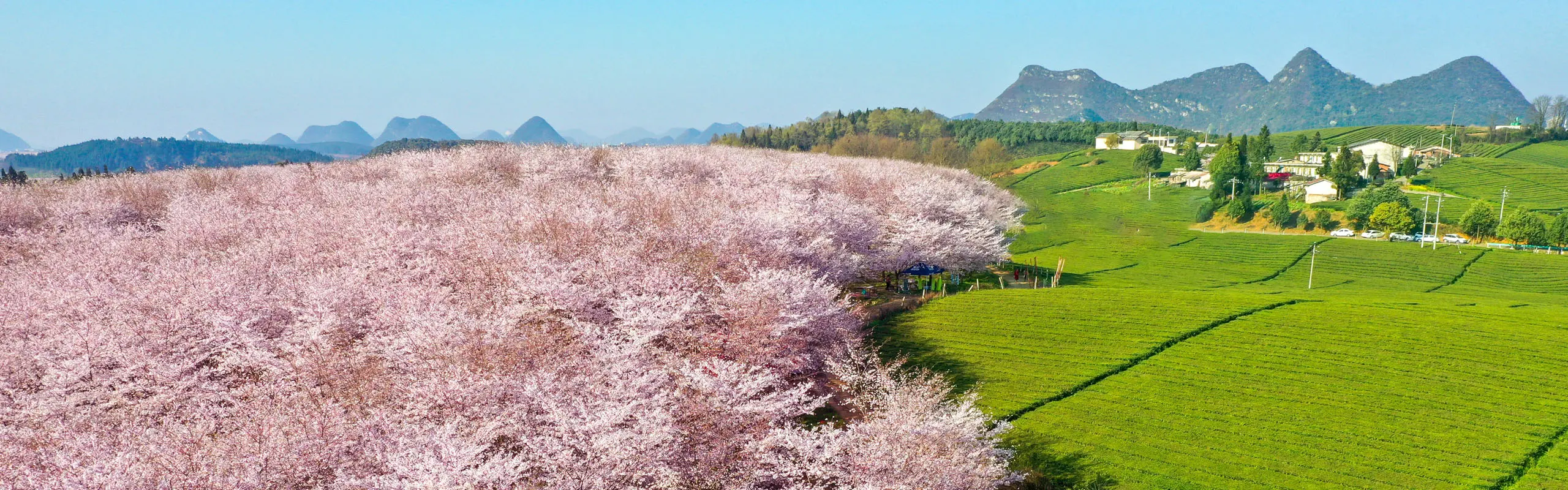 5-Day Guizhou Spring Tour