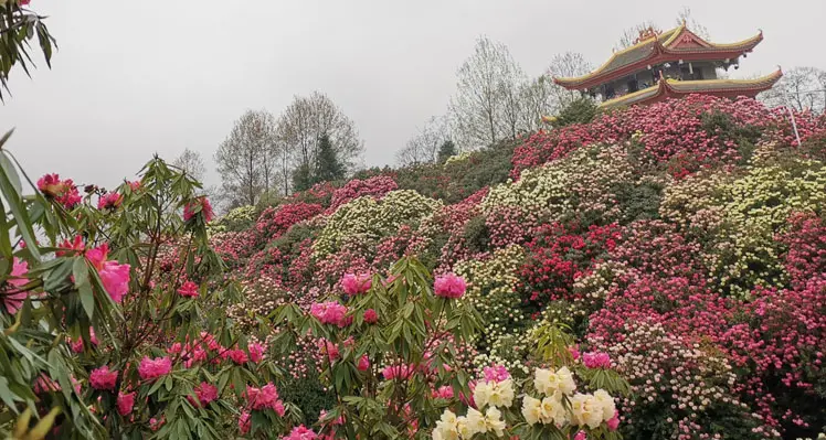 the street of the old town