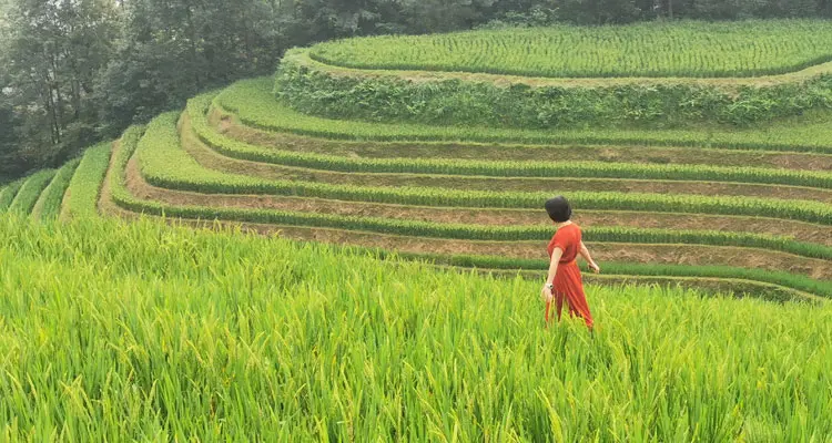 children on the bank of the river