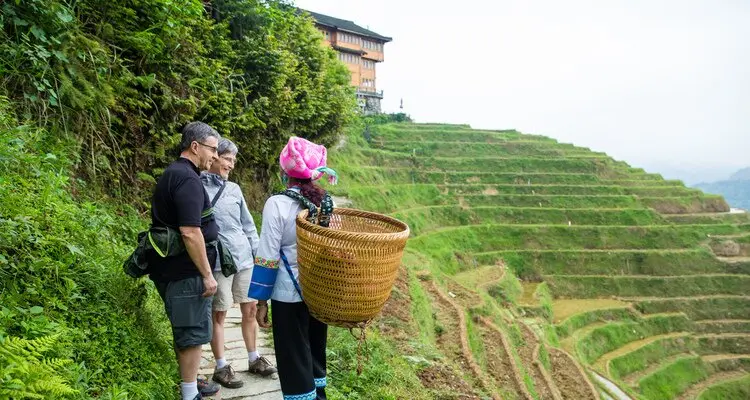 rice terraces