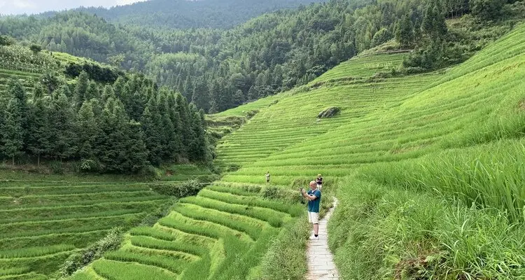 rice terraces