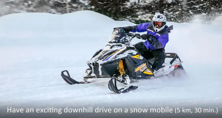 Fun Things to Do in the Snow World