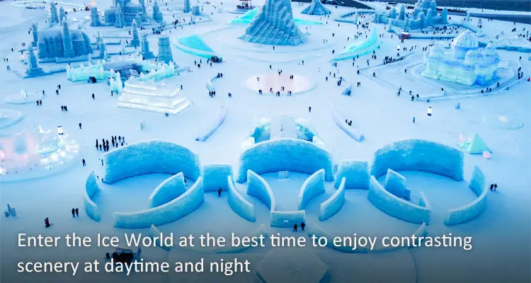 Immerse Yourself in the Awesome Harbin Ice and Snow Festival!