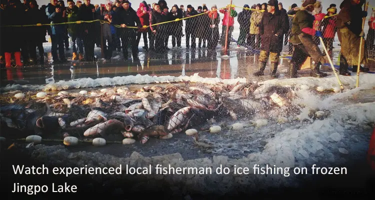 Have Fun in a Fairy Tale Snow World 