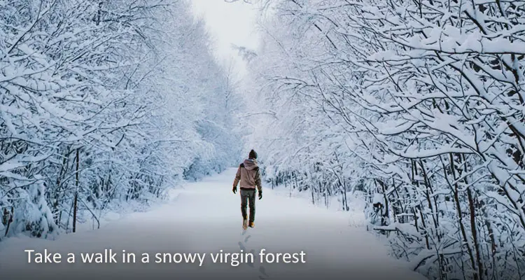 Explore Various Activities at Changbai Mountain