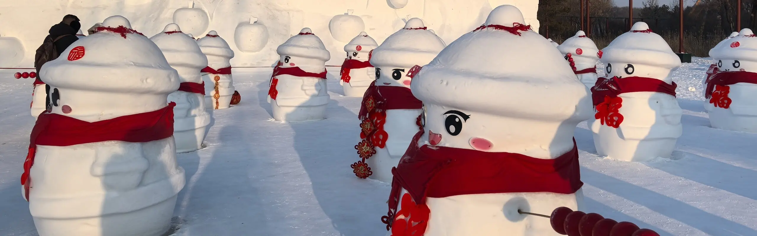 One Day Harbin Ice and Snow Fairyland Tour