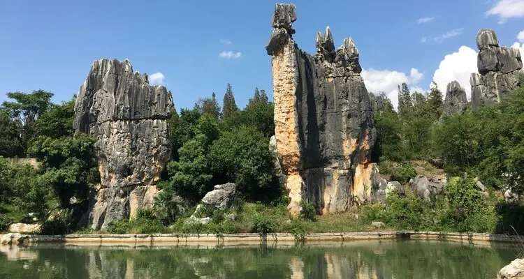 The Stone Forest