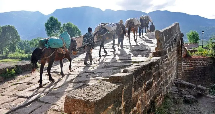 Tea Horse Ancient Road