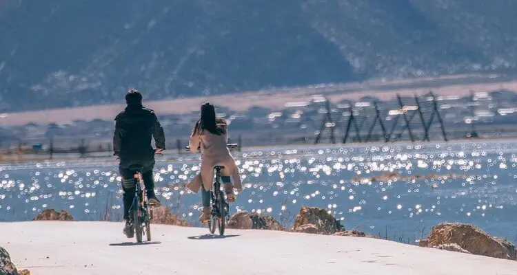 walking people in the purple flowers