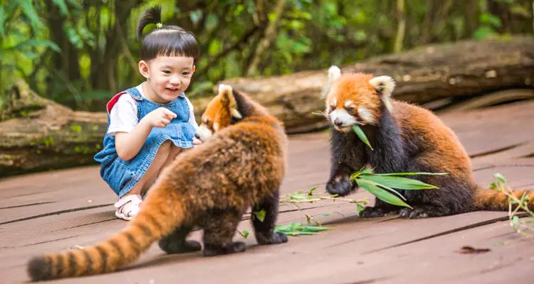 Staying in a 'Tree House'