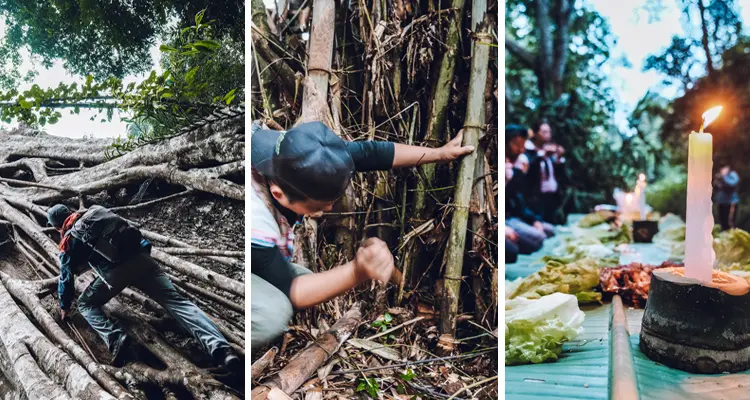 go to a wilder rainforest area and have an exciting jungle adventure