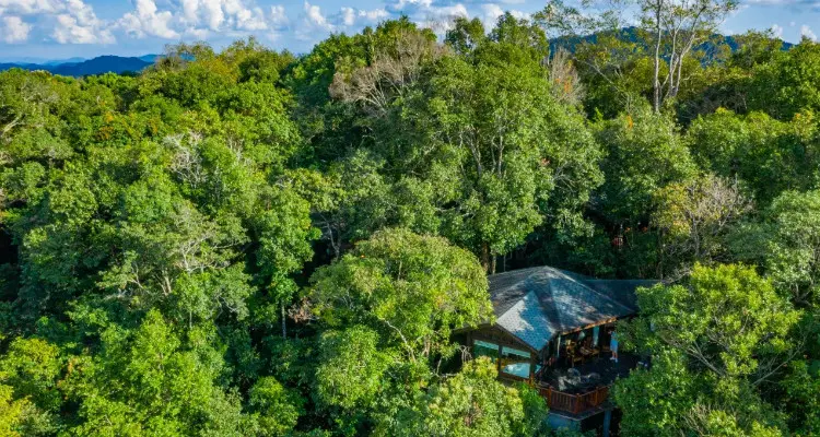 a wooden house hidden in the forest