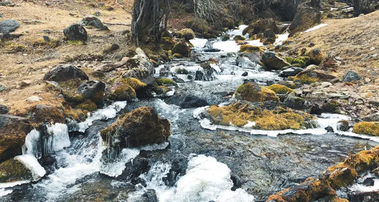 Hike along the stream in the forest
