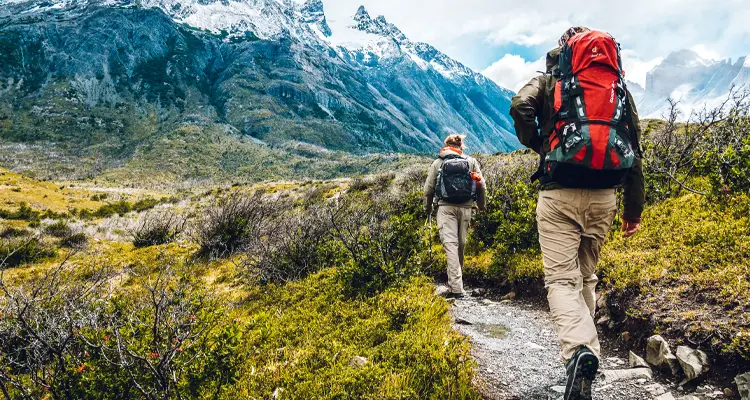 Hike along the stream in the forest