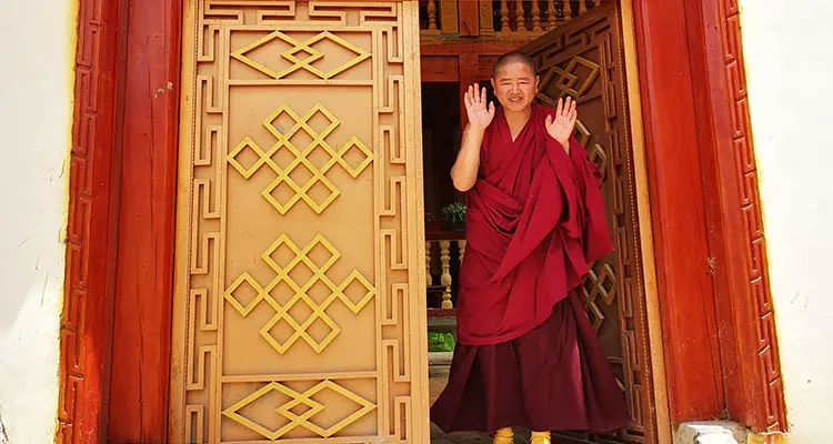 a lama in his dormitory