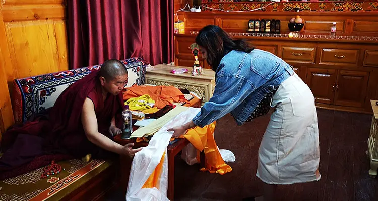 give a white ribbon to lama