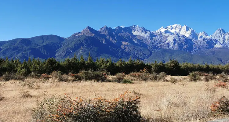the jade dragon snow mountain