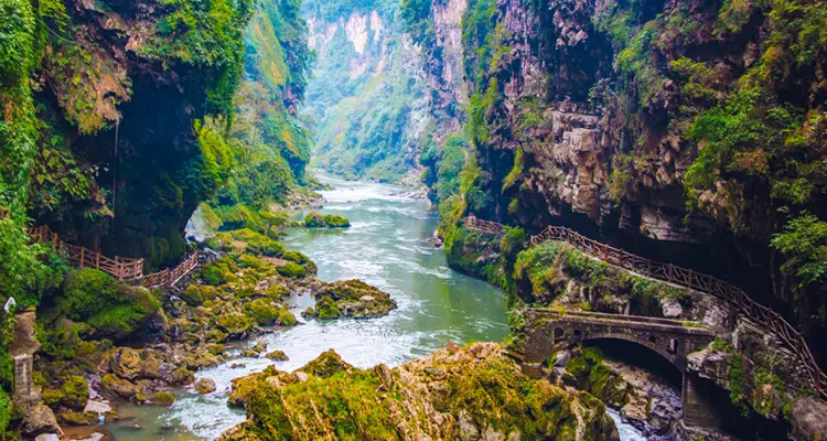 trains running across the bridge high aboveyour head