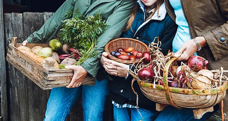 Pick some fresh vegetables in the fields and cook them for dinner