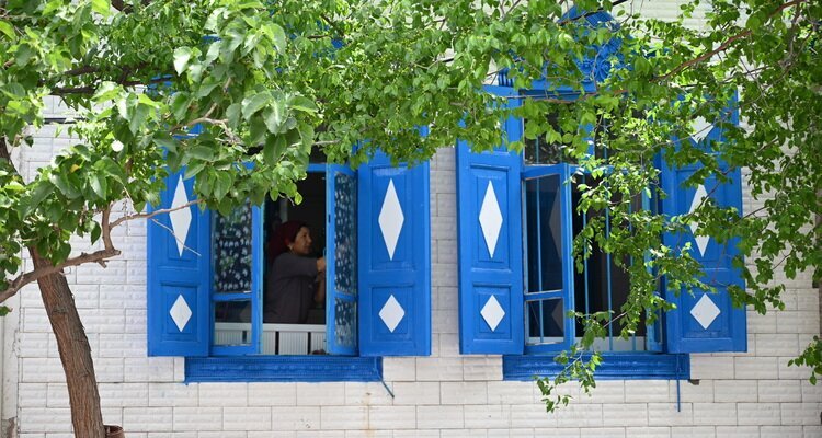 the house with blue windows