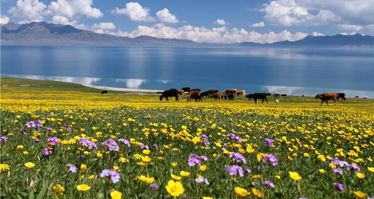 Sayram Lake