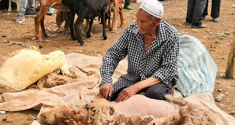 A Uyghur man in the bazzar