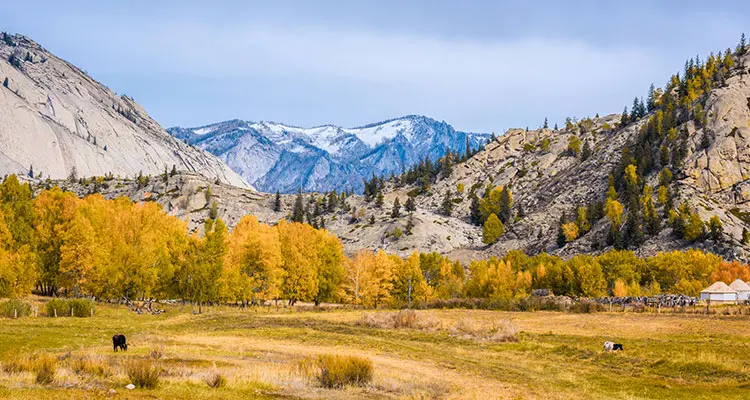 The granitic mountain and the grassland in autumn
