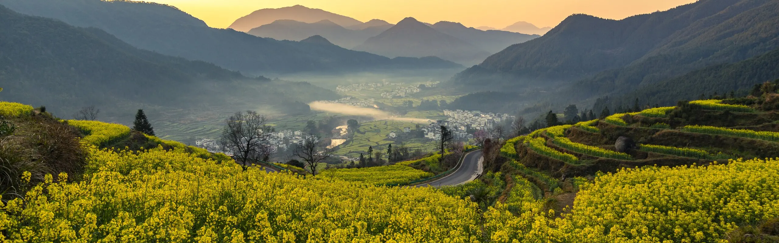 9-Day Huangshan, Wuyuan, Suzhou, and Shanghai Spring Tour