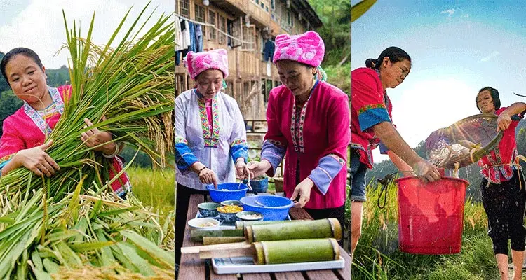 do farming in Longji 