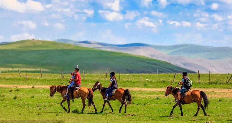have a light walk in the grassland