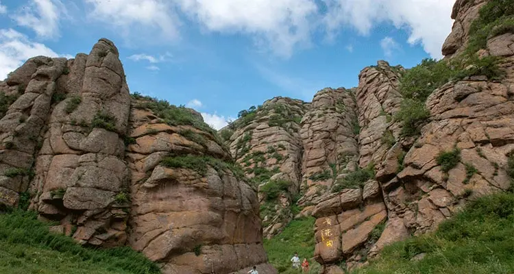 have a light walk in the grassland