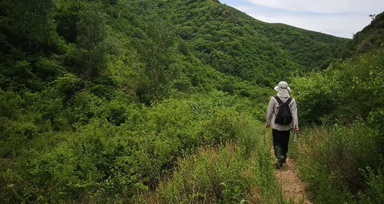 Mongolian banquet dinner