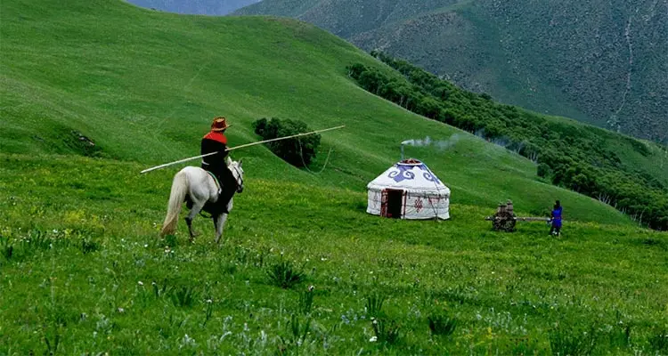 Have a horse ride in the grassland