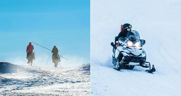 watching archery and wristling