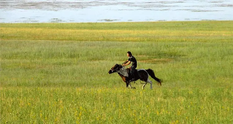 watching archery and wrestling