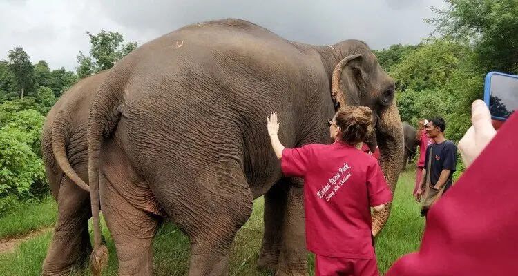 Elephant Rescue Park