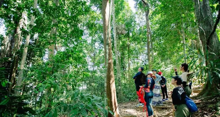 Khao Sok National Park